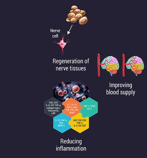 Cell Therapy