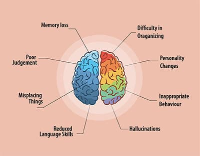 Causes Of Intellectual Disability