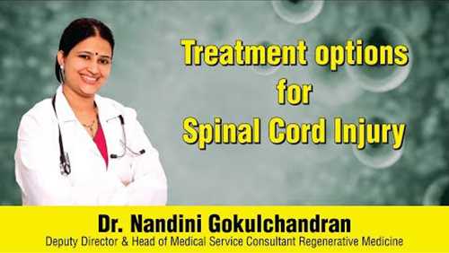 Treatment Options For Spinal Cord Injury